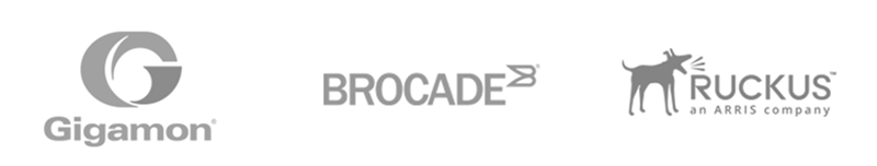Gigamon Brocade Ruckus Gigamon Brocade Ruckus