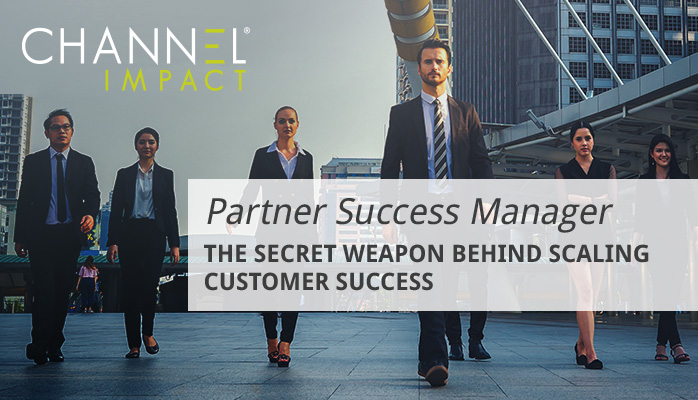 Partner Success Playbook
