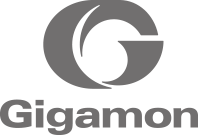 Gigamo logo Gigamo logo